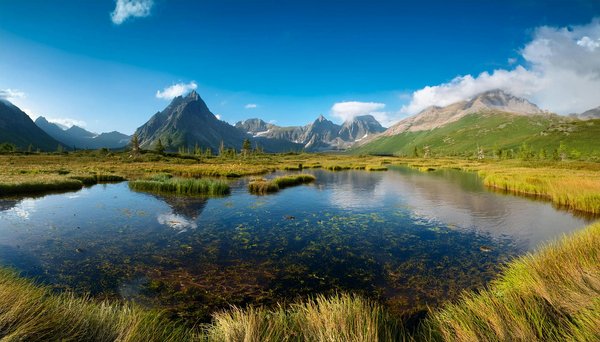 Évasion sensorielle en bretagne : la thalassothérapie à perros-guirec