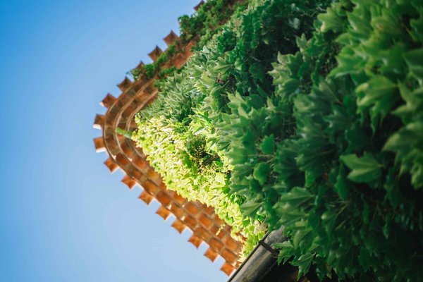 Pourquoi vivre à Carcassonne ?